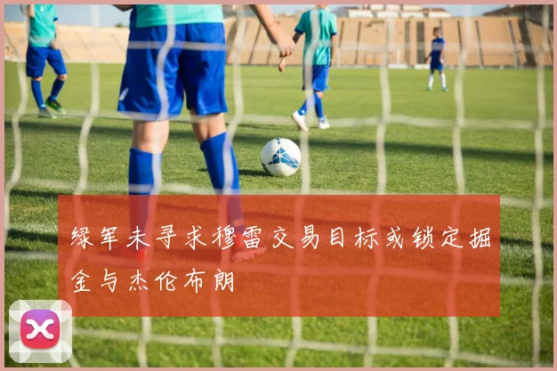 绿军未寻求穆雷交易目标或锁定掘金与杰伦布朗
