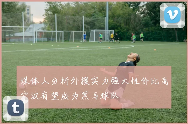 媒体人分析外援实力强大性价比高宁波有望成为黑马球队